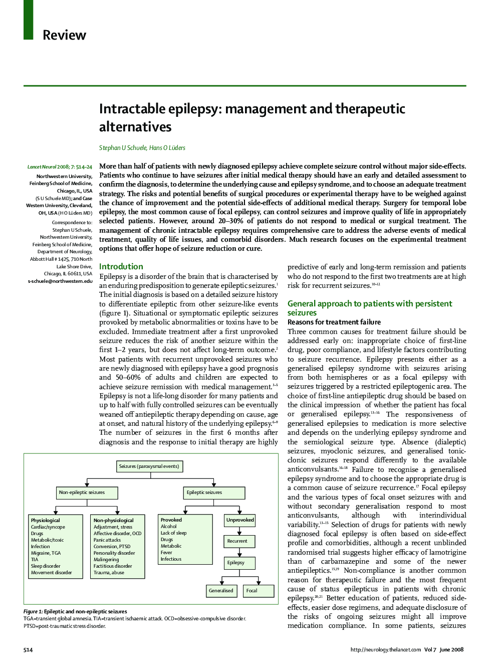 Intractable epilepsy: management and therapeutic alternatives