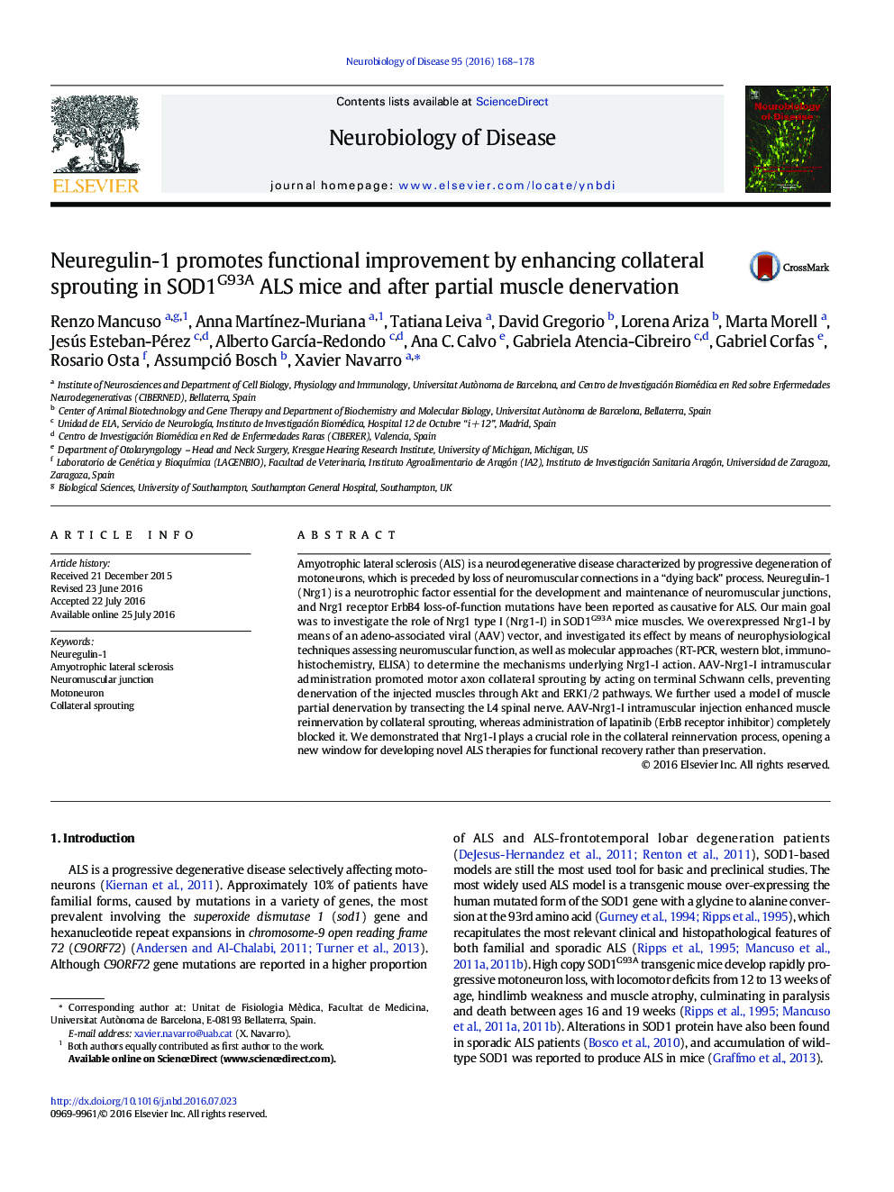 Neuregulin-1 promotes functional improvement by enhancing collateral sprouting in SOD1G93A ALS mice and after partial muscle denervation