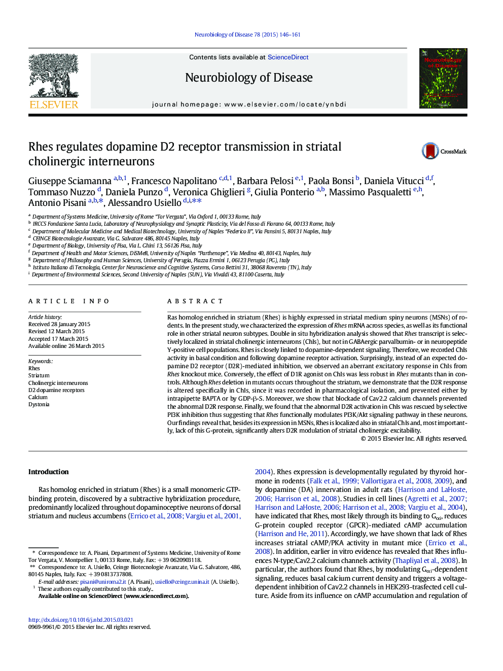 Rhes regulates dopamine D2 receptor transmission in striatal cholinergic interneurons