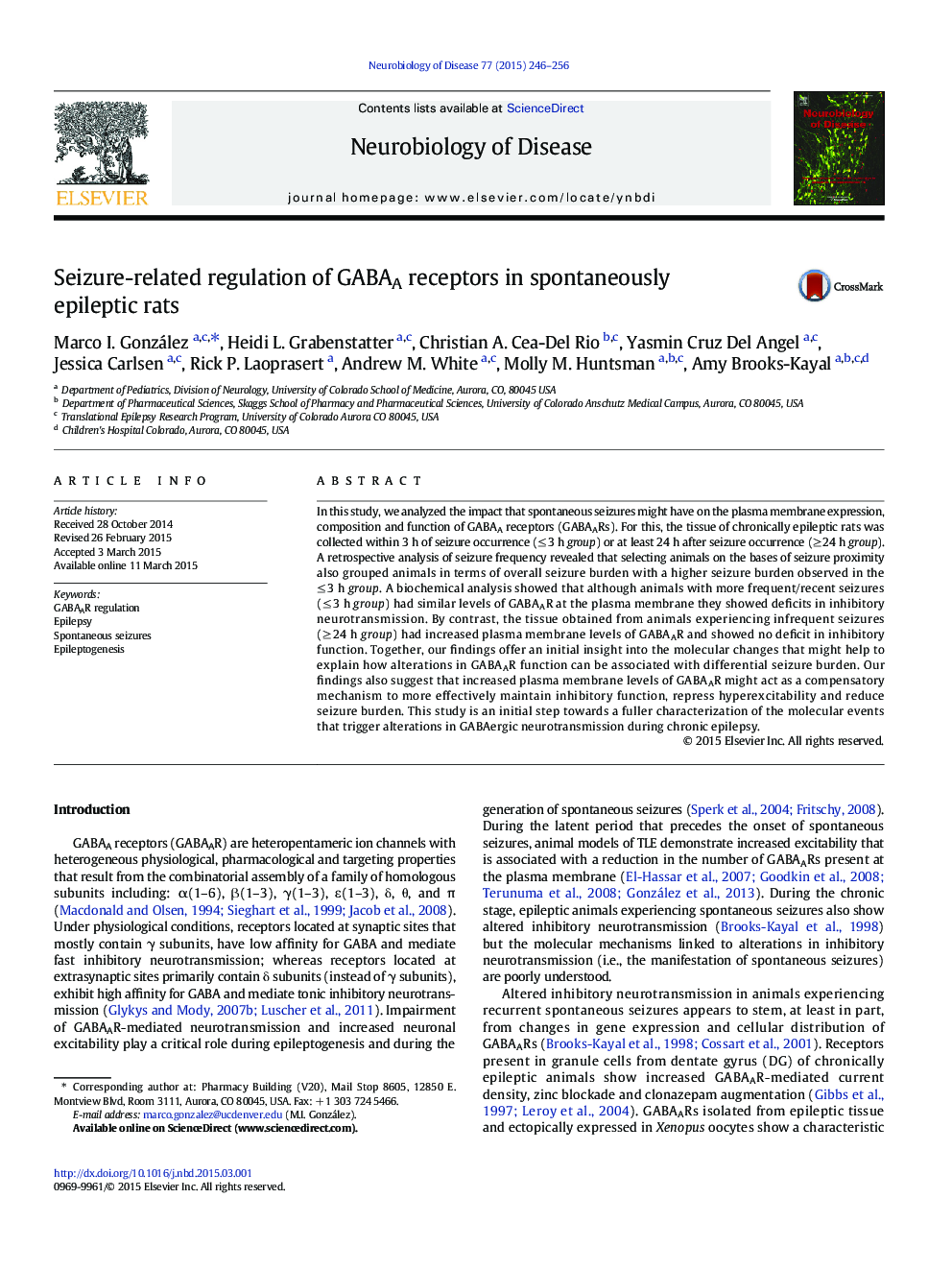 Seizure-related regulation of GABAA receptors in spontaneously epileptic rats