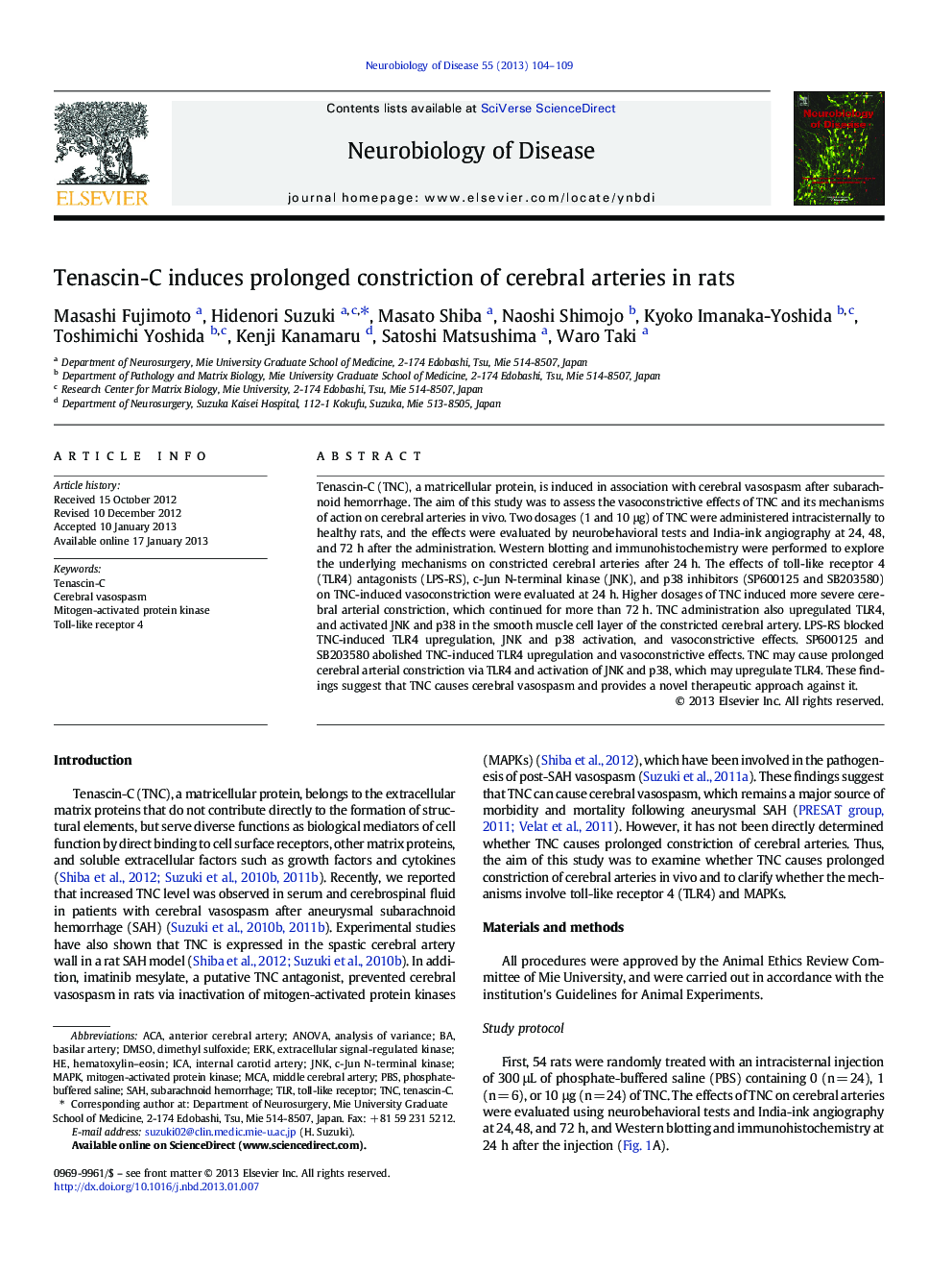 Tenascin-C induces prolonged constriction of cerebral arteries in rats