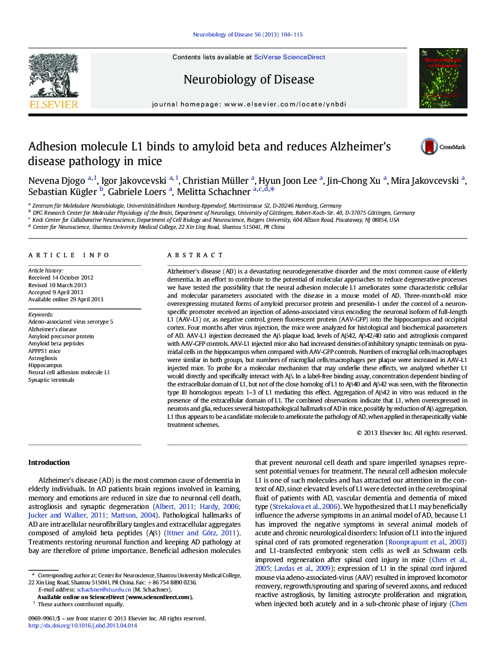 Adhesion molecule L1 binds to amyloid beta and reduces Alzheimer's disease pathology in mice