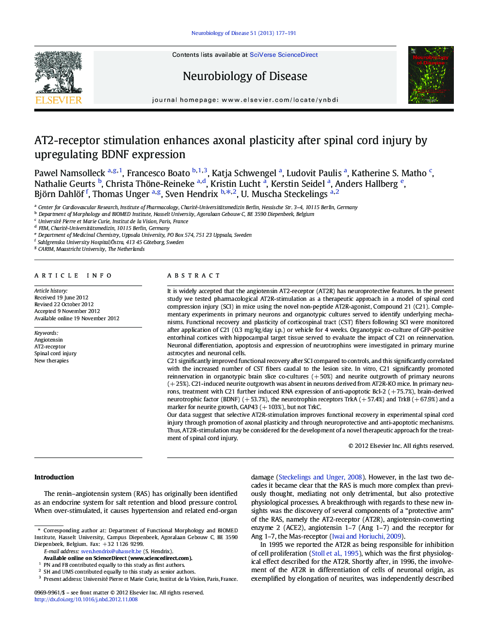 AT2-receptor stimulation enhances axonal plasticity after spinal cord injury by upregulating BDNF expression