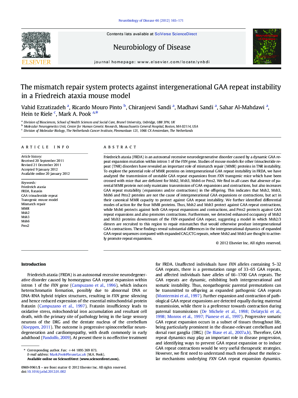 The mismatch repair system protects against intergenerational GAA repeat instability in a Friedreich ataxia mouse model