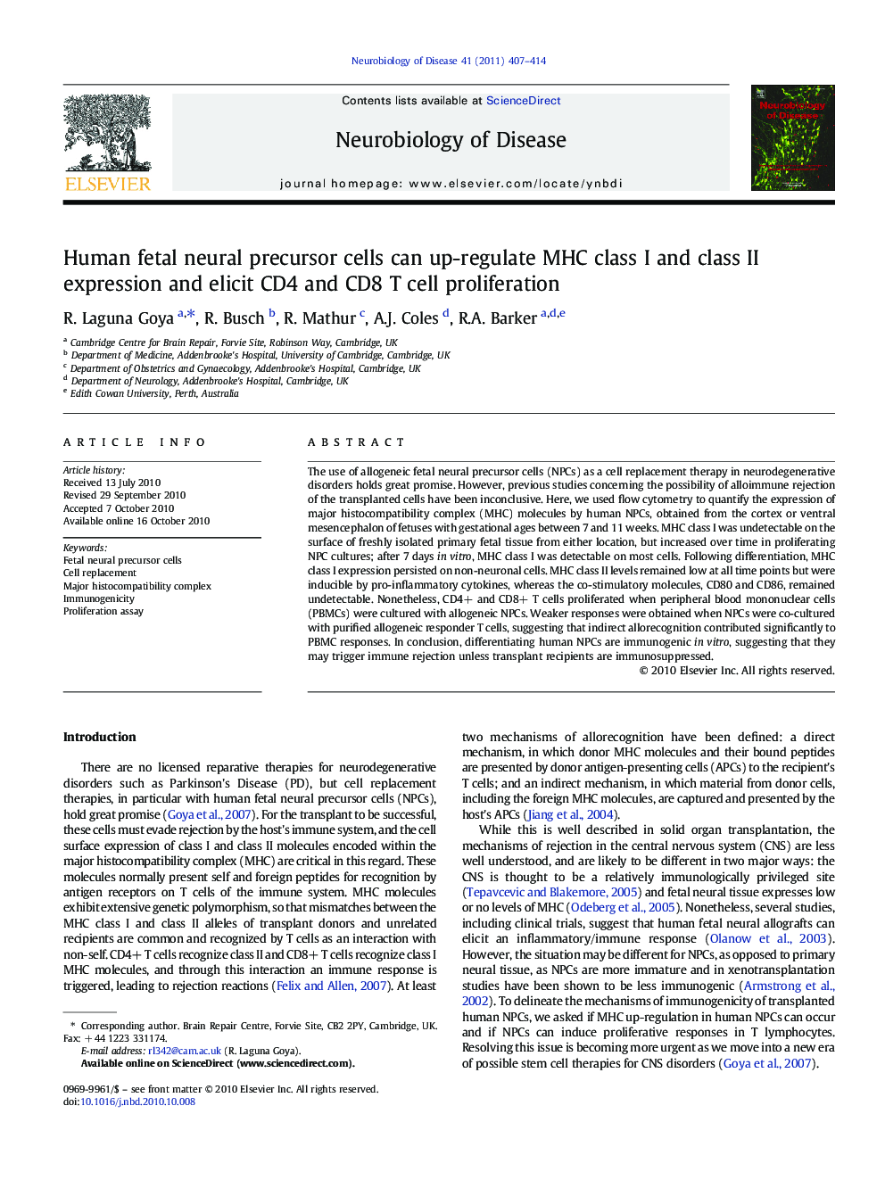 Human fetal neural precursor cells can up-regulate MHC class I and class II expression and elicit CD4 and CD8 T cell proliferation