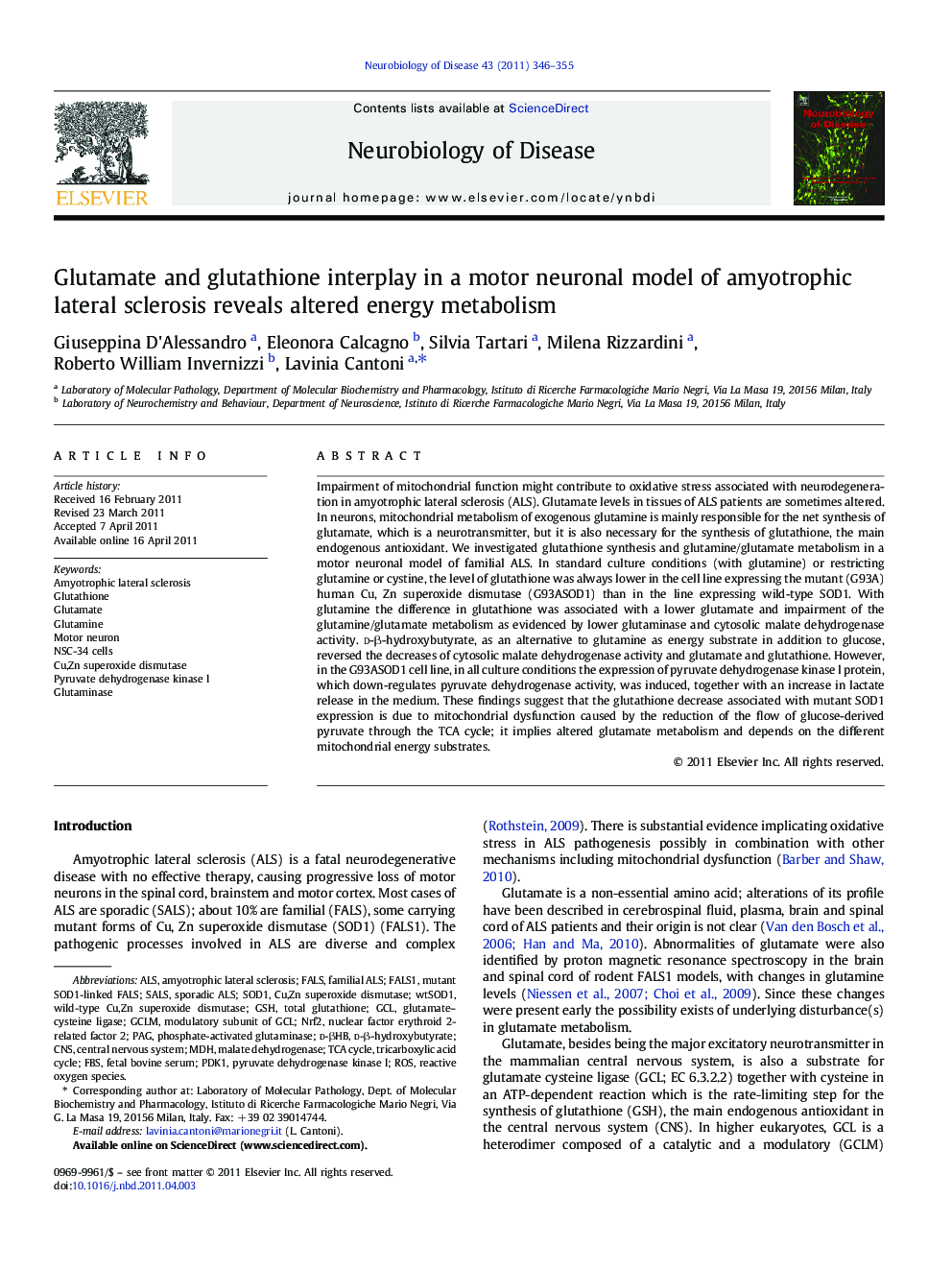 Glutamate and glutathione interplay in a motor neuronal model of amyotrophic lateral sclerosis reveals altered energy metabolism