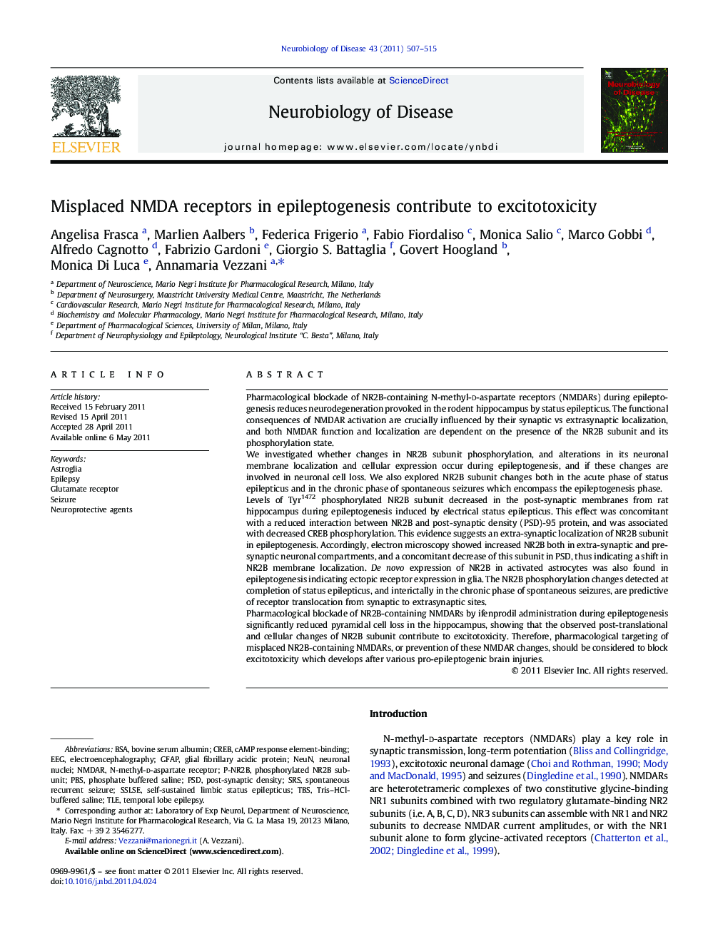 Misplaced NMDA receptors in epileptogenesis contribute to excitotoxicity