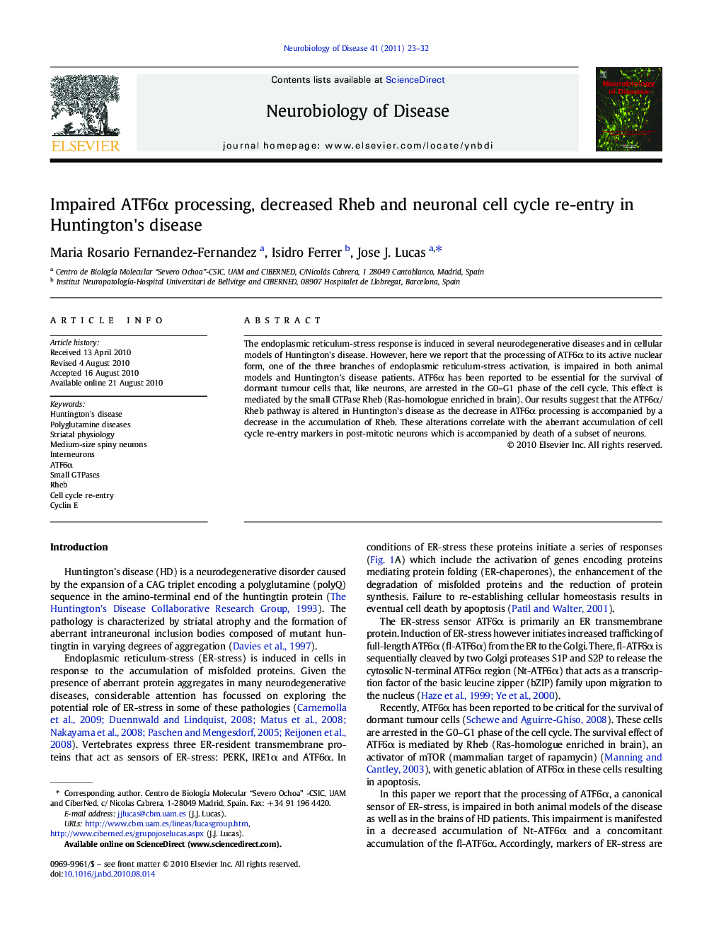 Impaired ATF6α processing, decreased Rheb and neuronal cell cycle re-entry in Huntington's disease