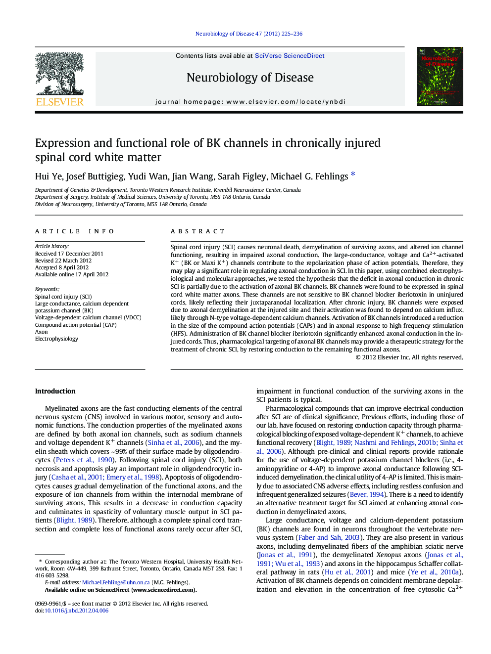 Expression and functional role of BK channels in chronically injured spinal cord white matter