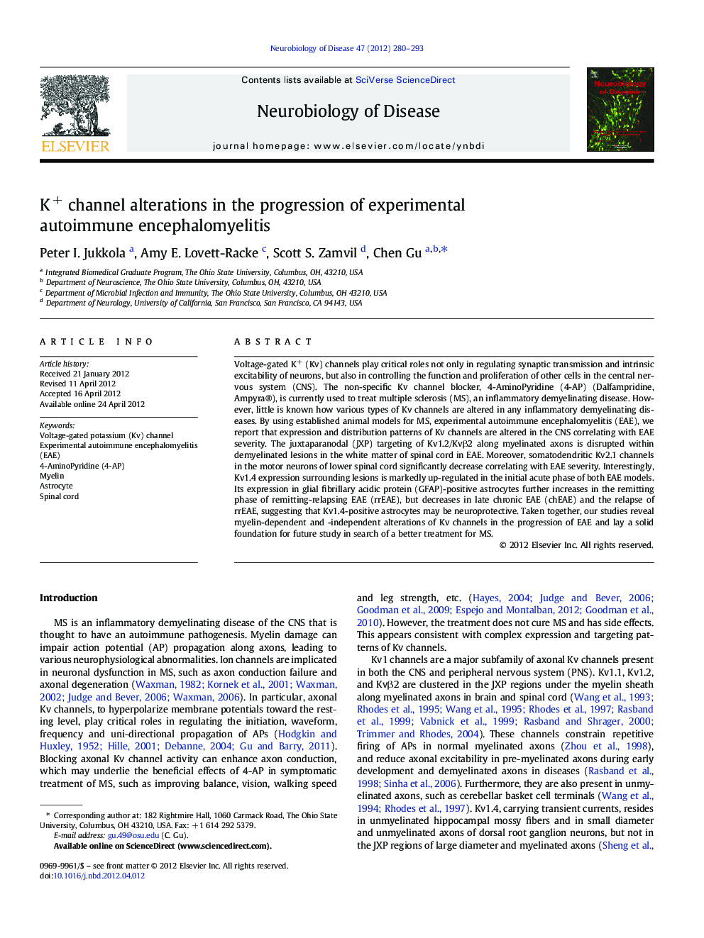 K+ channel alterations in the progression of experimental autoimmune encephalomyelitis