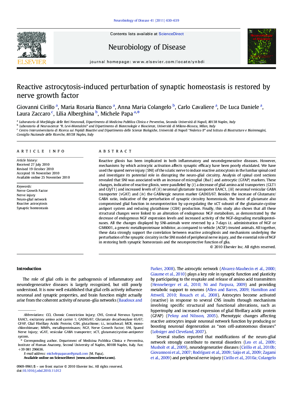 Reactive astrocytosis-induced perturbation of synaptic homeostasis is restored by nerve growth factor