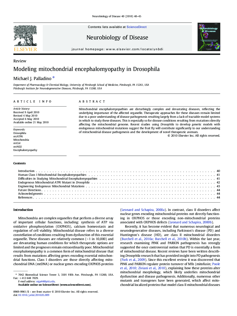 Modeling mitochondrial encephalomyopathy in Drosophila