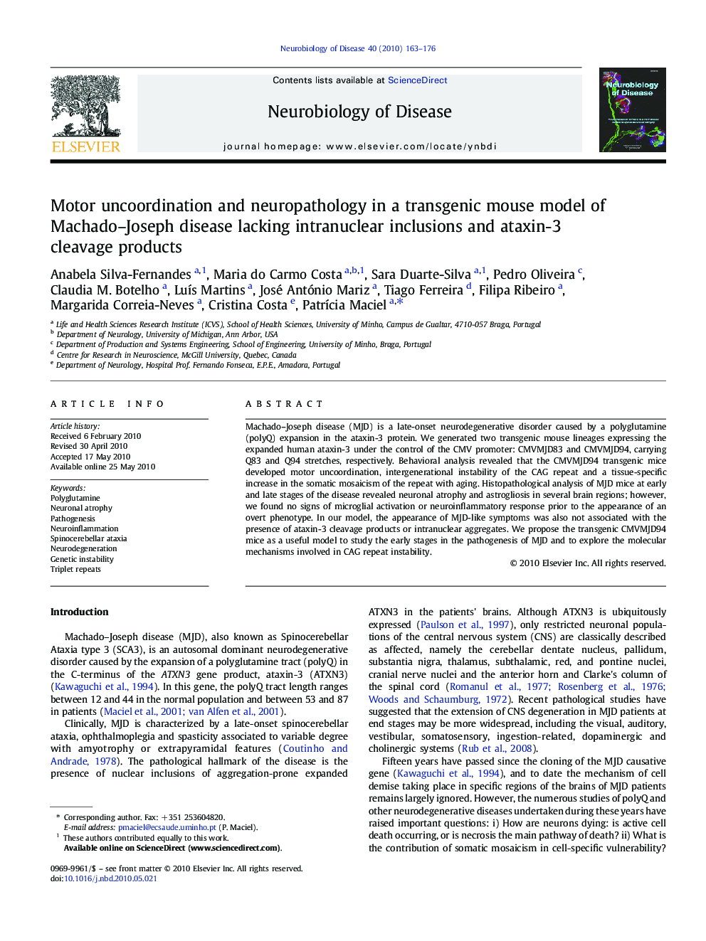 Motor uncoordination and neuropathology in a transgenic mouse model of Machado–Joseph disease lacking intranuclear inclusions and ataxin-3 cleavage products