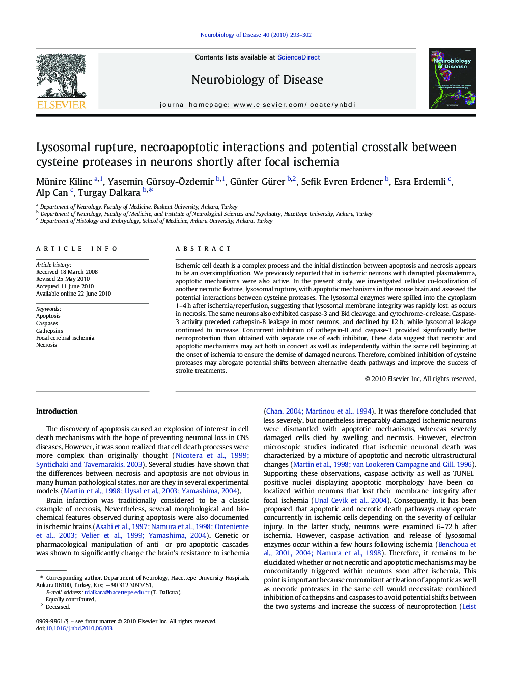 Lysosomal rupture, necroapoptotic interactions and potential crosstalk between cysteine proteases in neurons shortly after focal ischemia