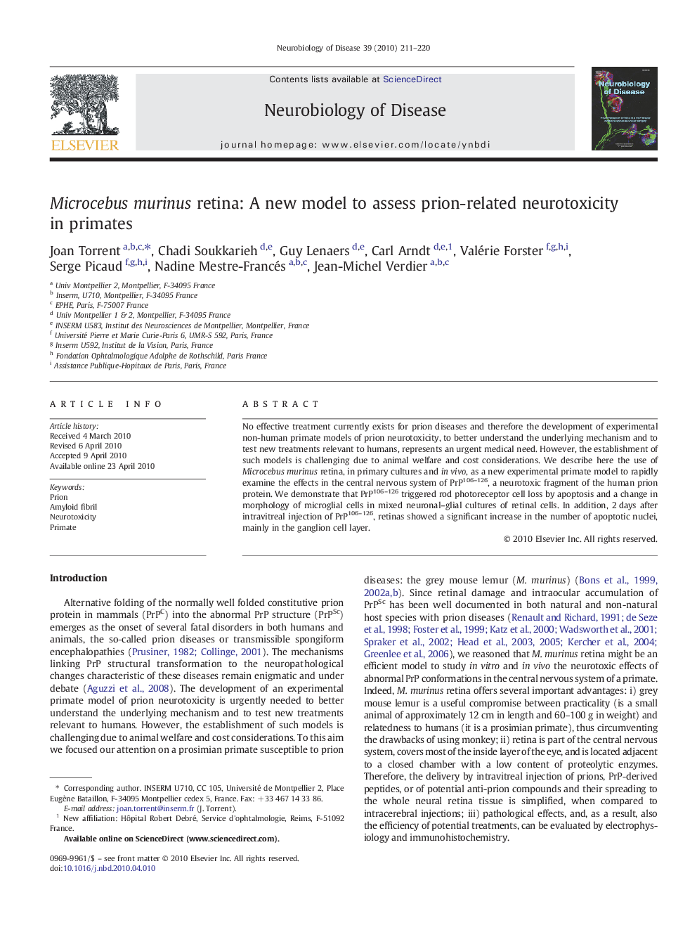 Microcebus murinus retina: A new model to assess prion-related neurotoxicity in primates