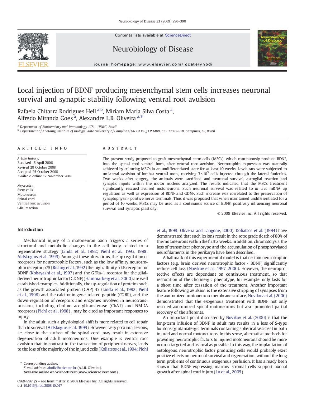 Local injection of BDNF producing mesenchymal stem cells increases neuronal survival and synaptic stability following ventral root avulsion