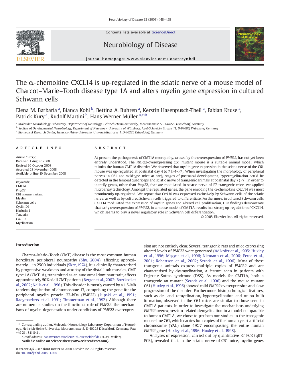 The α-chemokine CXCL14 is up-regulated in the sciatic nerve of a mouse model of Charcot–Marie–Tooth disease type 1A and alters myelin gene expression in cultured Schwann cells