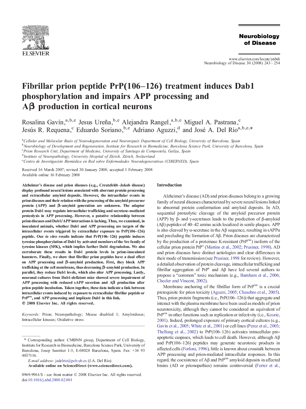 Fibrillar prion peptide PrP(106–126) treatment induces Dab1 phosphorylation and impairs APP processing and Aβ production in cortical neurons