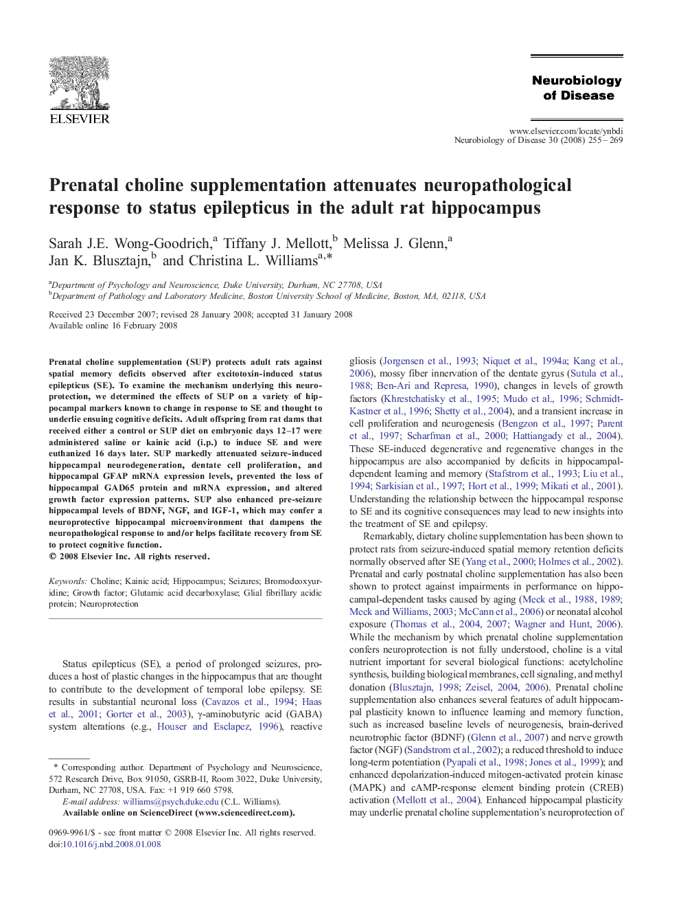 Prenatal choline supplementation attenuates neuropathological response to status epilepticus in the adult rat hippocampus