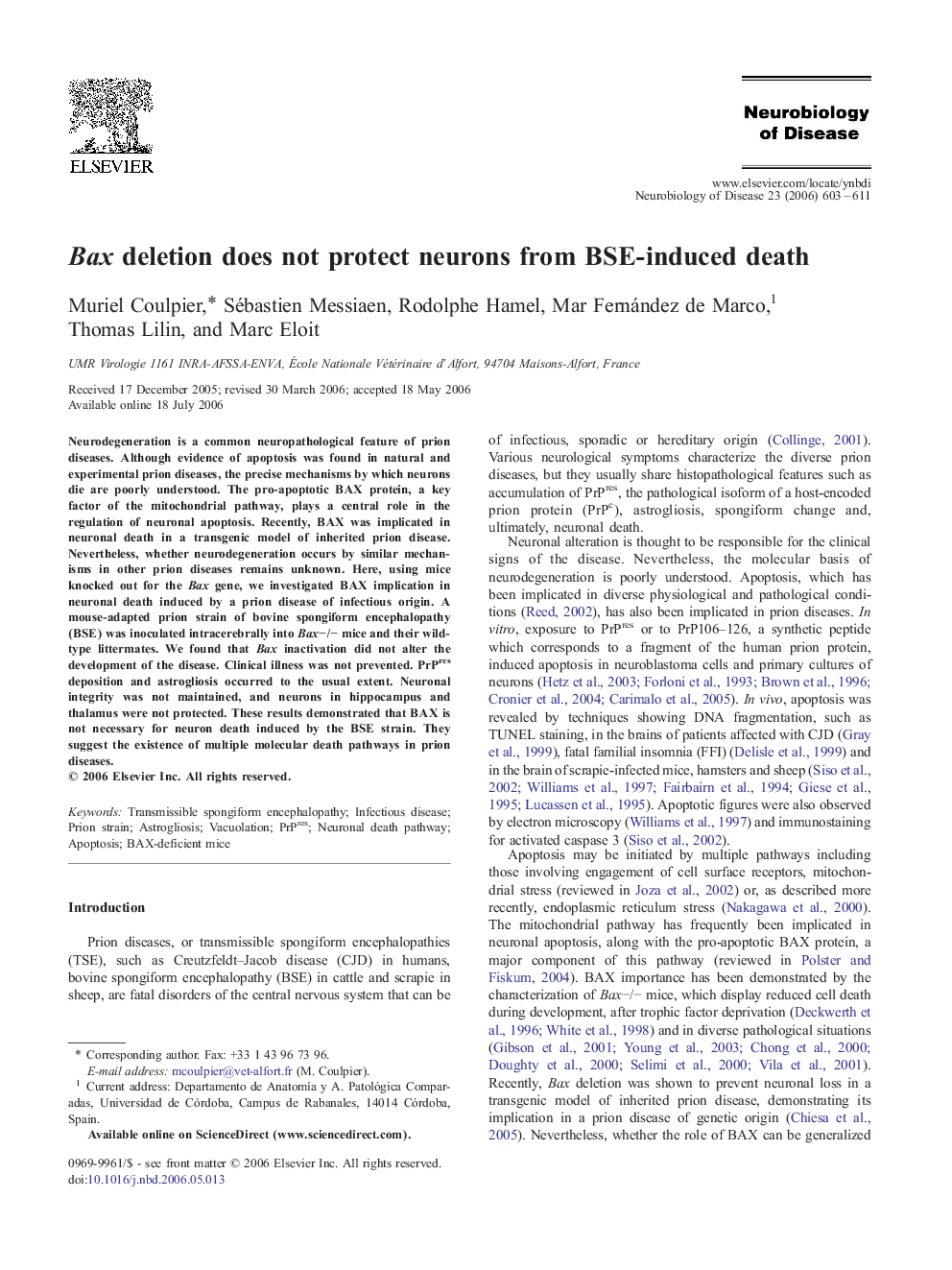 Bax deletion does not protect neurons from BSE-induced death