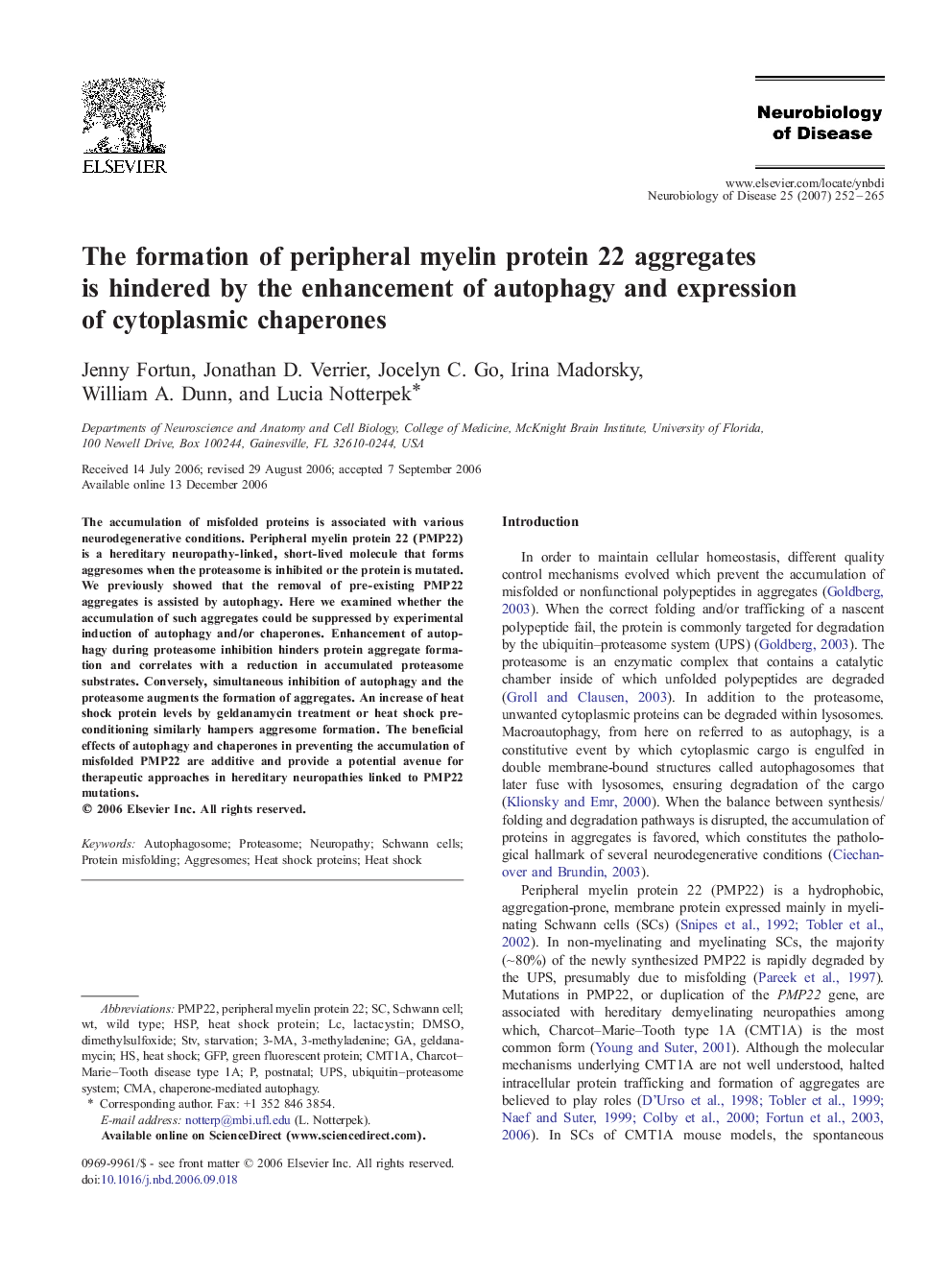 The formation of peripheral myelin protein 22 aggregates is hindered by the enhancement of autophagy and expression of cytoplasmic chaperones