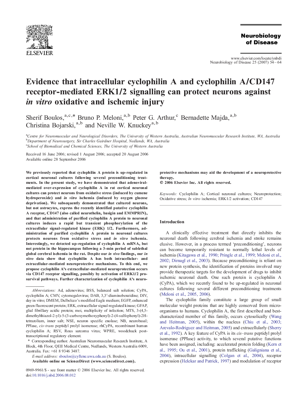 Evidence that intracellular cyclophilin A and cyclophilin A/CD147 receptor-mediated ERK1/2 signalling can protect neurons against in vitro oxidative and ischemic injury