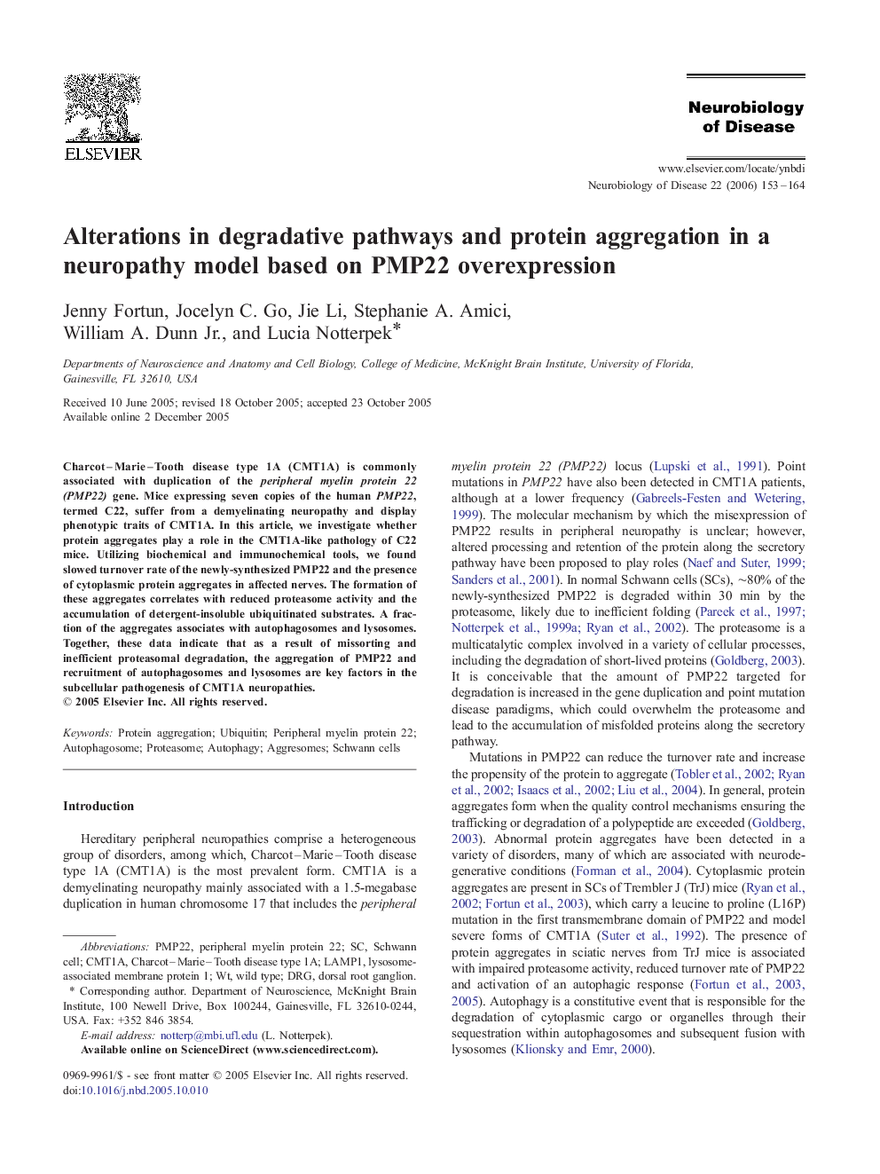 Alterations in degradative pathways and protein aggregation in a neuropathy model based on PMP22 overexpression