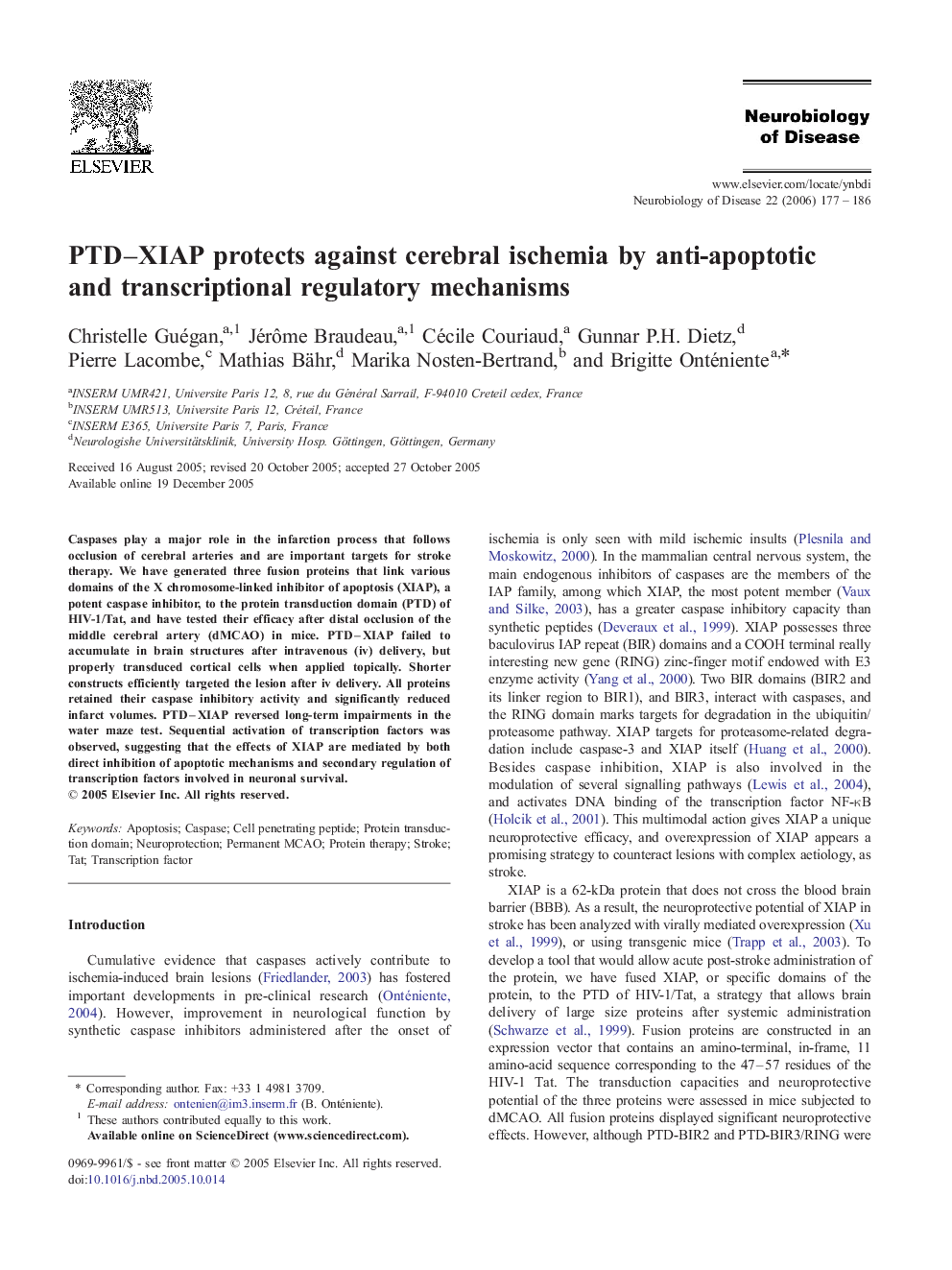 PTD-XIAP protects against cerebral ischemia by anti-apoptotic and transcriptional regulatory mechanisms