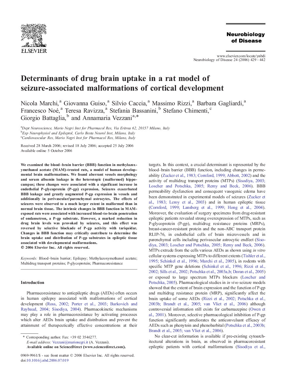 Determinants of drug brain uptake in a rat model of seizure-associated malformations of cortical development