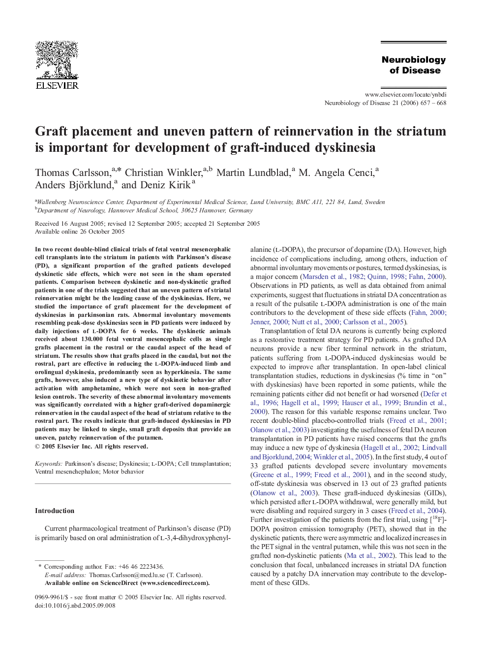 Graft placement and uneven pattern of reinnervation in the striatum is important for development of graft-induced dyskinesia