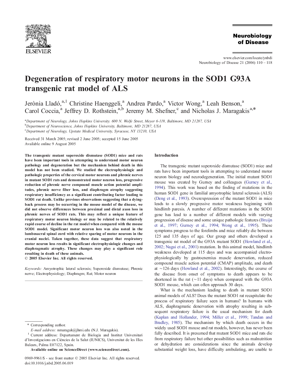 Degeneration of respiratory motor neurons in the SOD1 G93A transgenic rat model of ALS