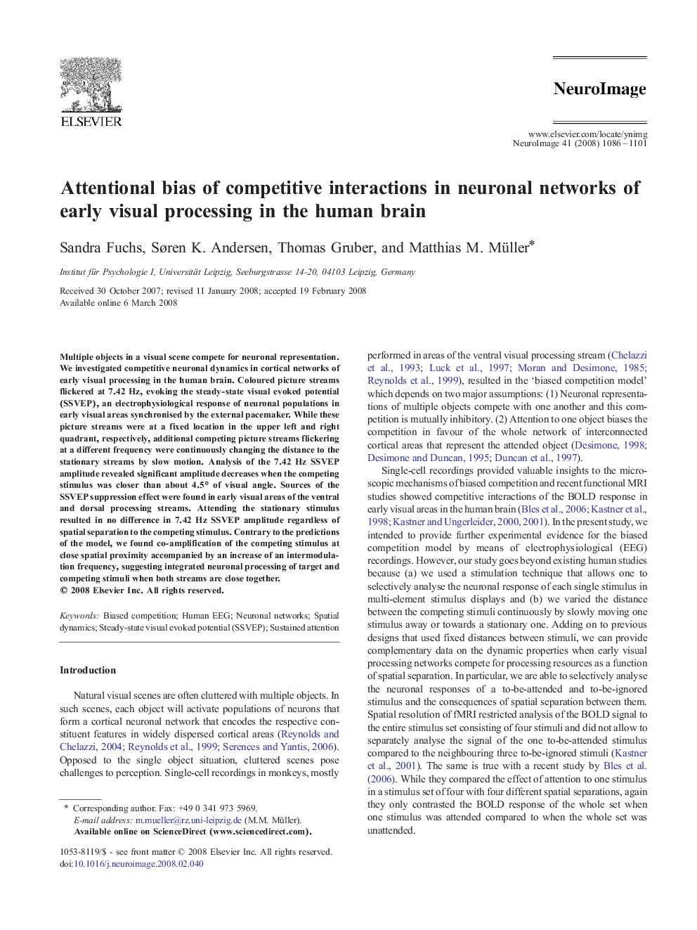 Attentional bias of competitive interactions in neuronal networks of early visual processing in the human brain