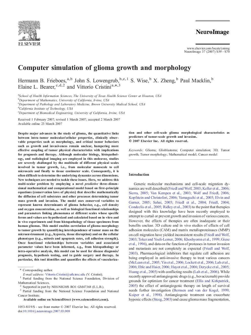 Computer simulation of glioma growth and morphology