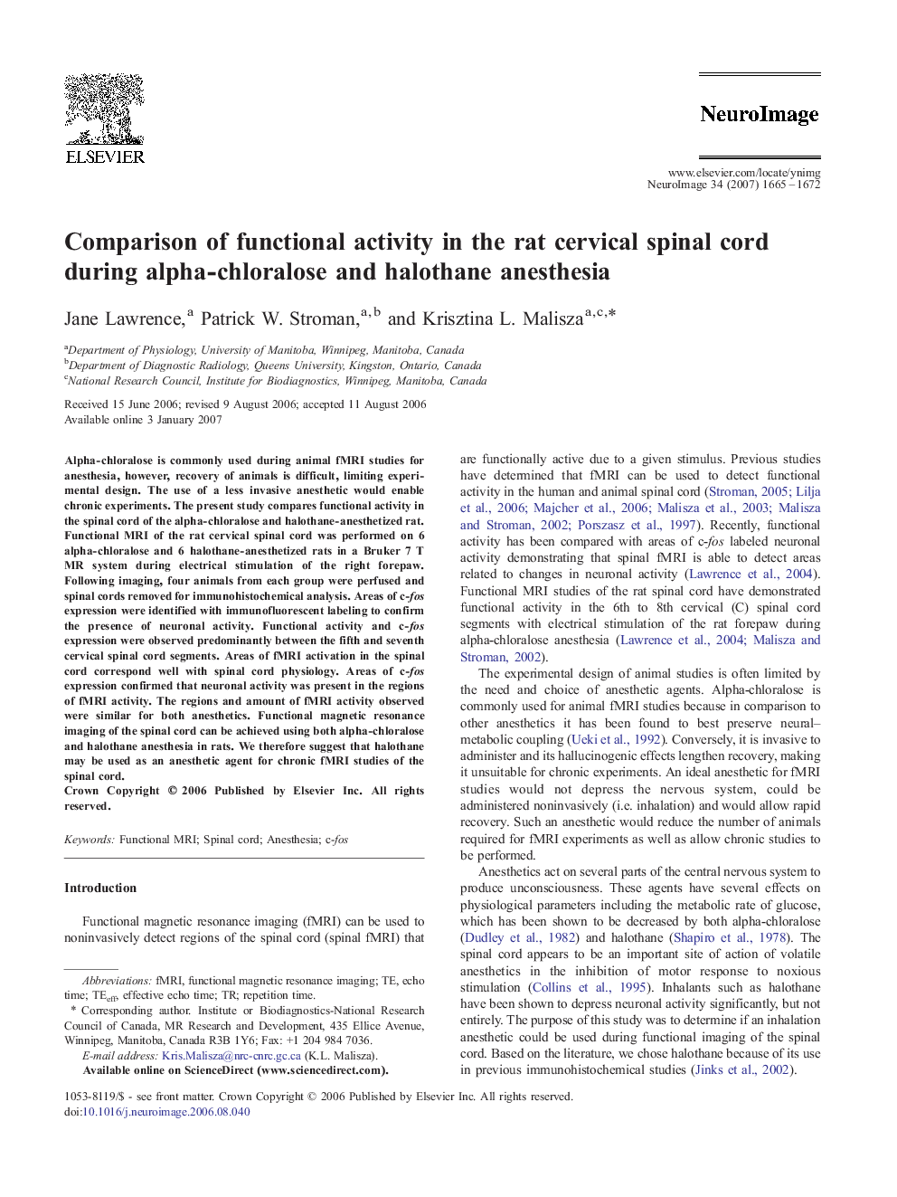 Comparison of functional activity in the rat cervical spinal cord during alpha-chloralose and halothane anesthesia