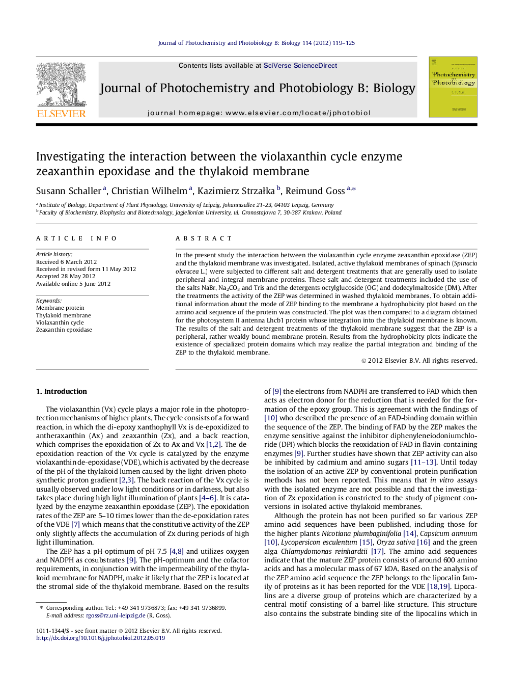 Investigating the interaction between the violaxanthin cycle enzyme zeaxanthin epoxidase and the thylakoid membrane