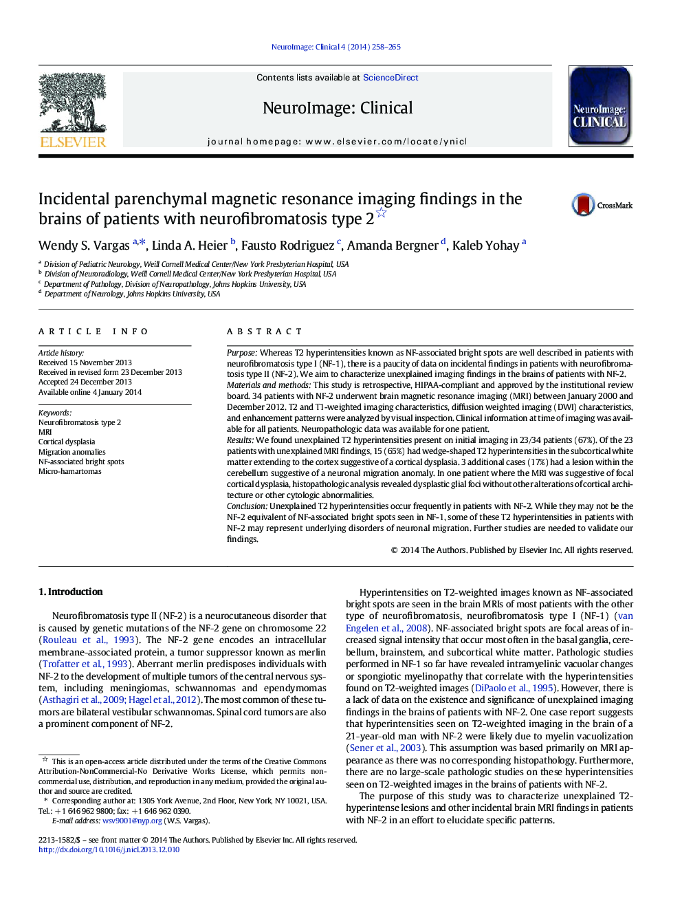 Incidental parenchymal magnetic resonance imaging findings in the brains of patients with neurofibromatosis type 2 