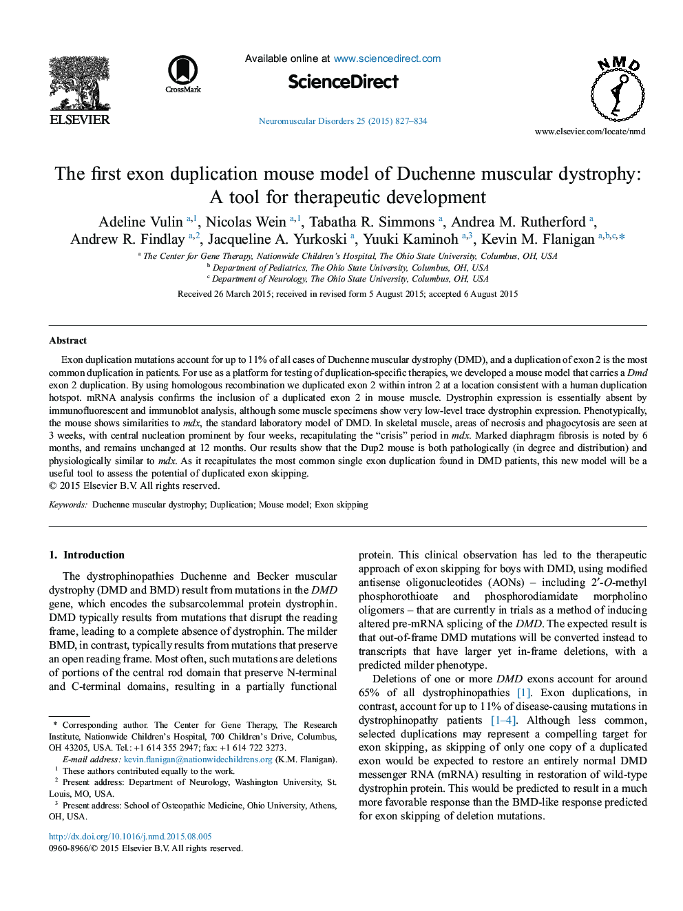 The first exon duplication mouse model of Duchenne muscular dystrophy: A tool for therapeutic development