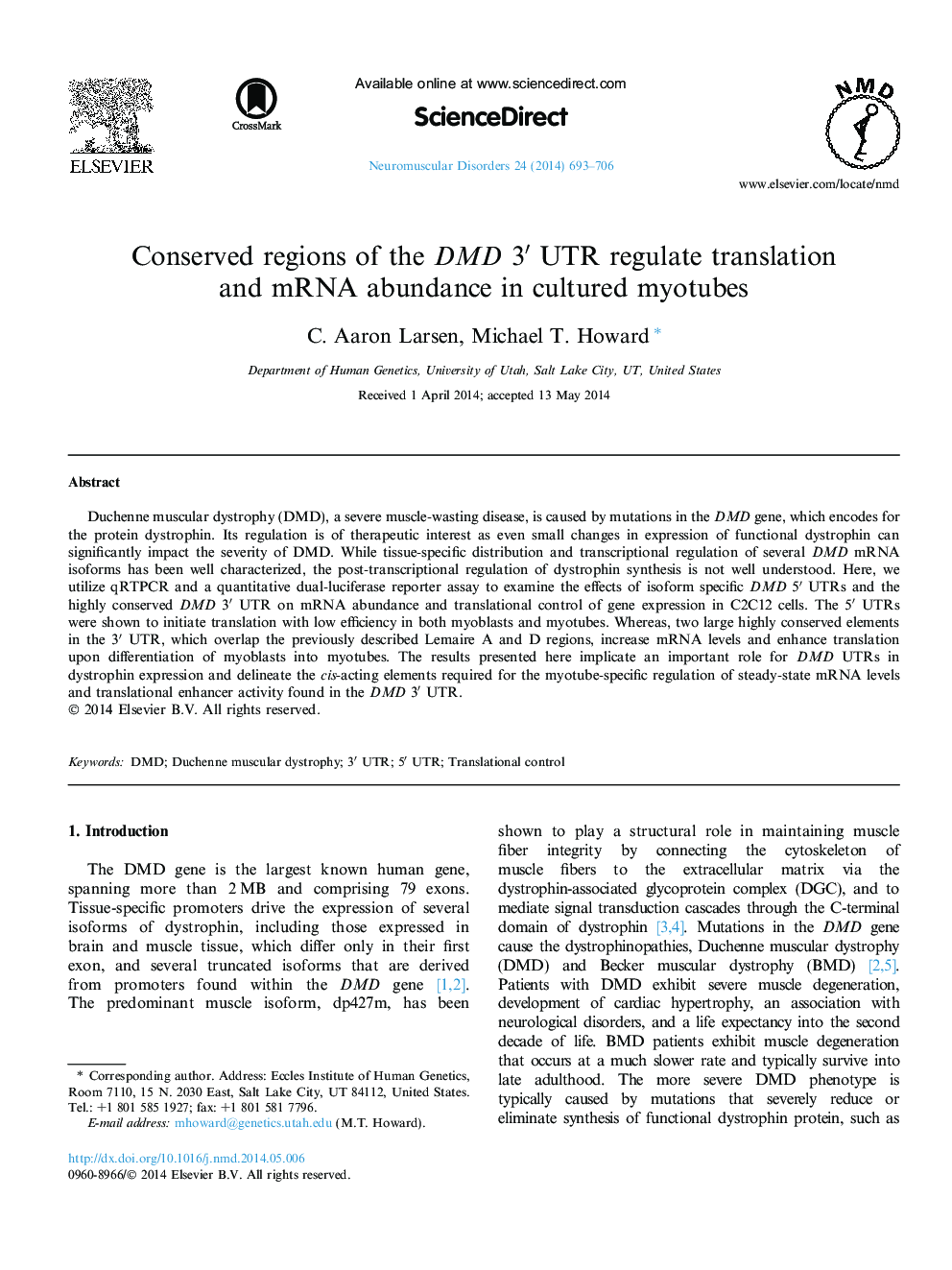 Conserved regions of the DMD 3′ UTR regulate translation and mRNA abundance in cultured myotubes