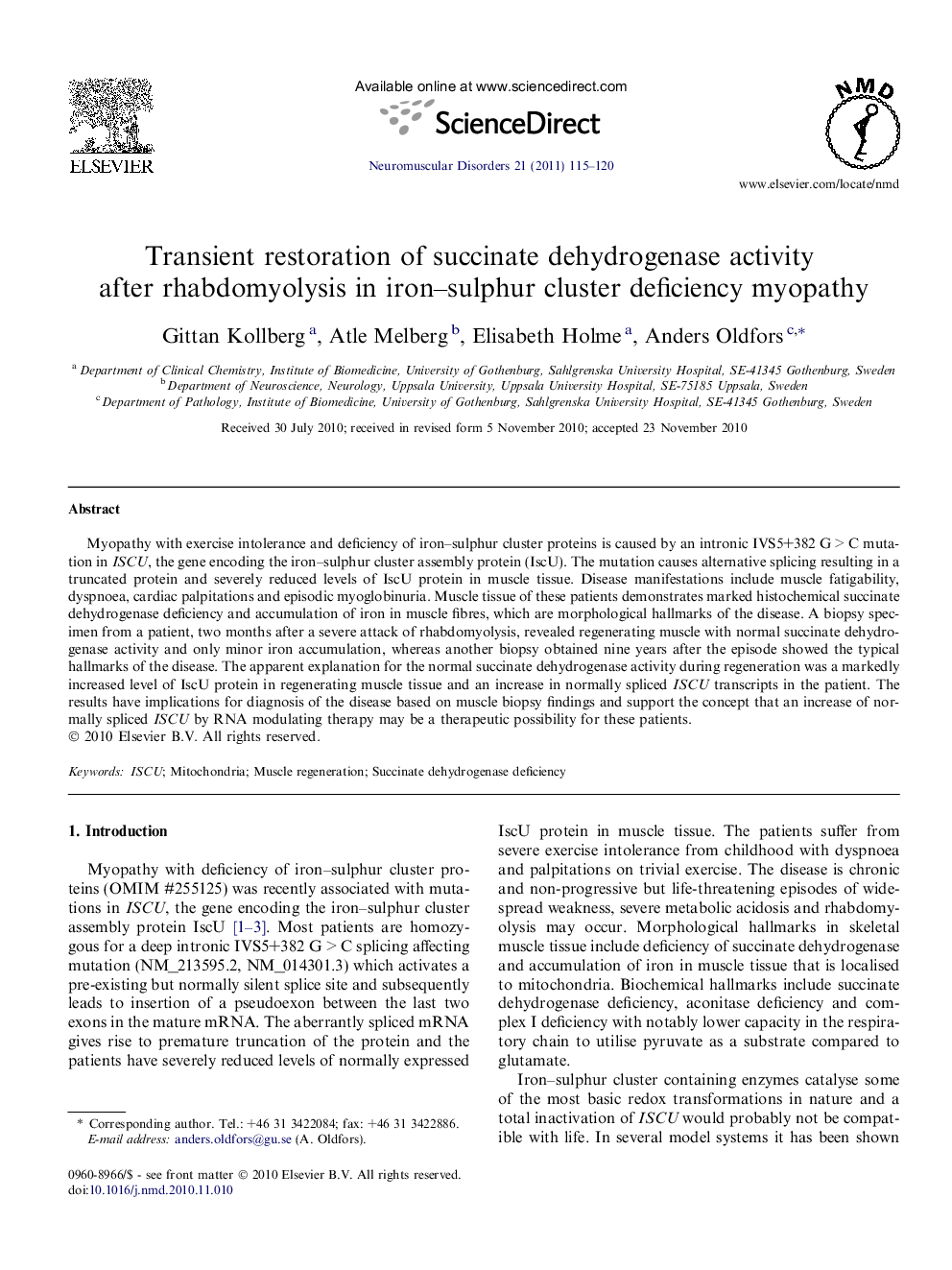 Transient restoration of succinate dehydrogenase activity after rhabdomyolysis in iron-sulphur cluster deficiency myopathy