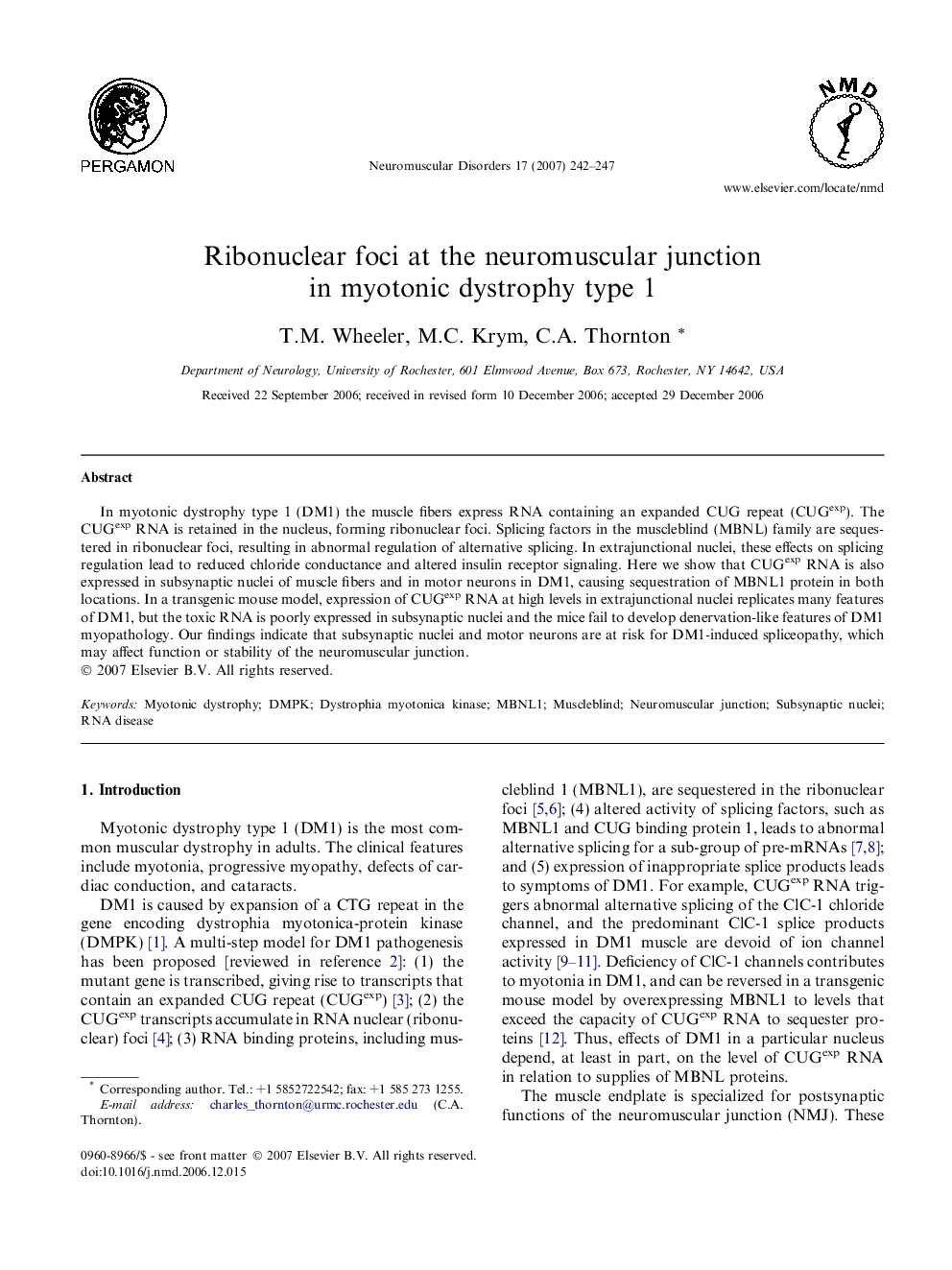 Ribonuclear foci at the neuromuscular junction in myotonic dystrophy type 1