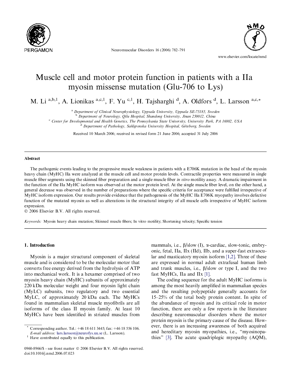 Muscle cell and motor protein function in patients with a IIa myosin missense mutation (Glu-706 to Lys)