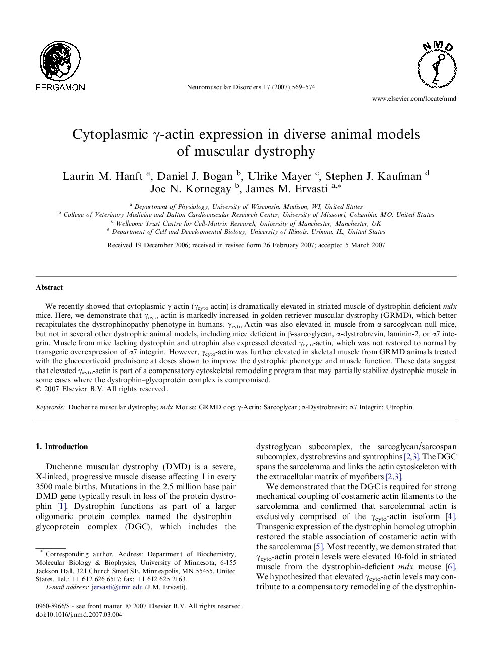 Cytoplasmic Î³-actin expression in diverse animal models of muscular dystrophy