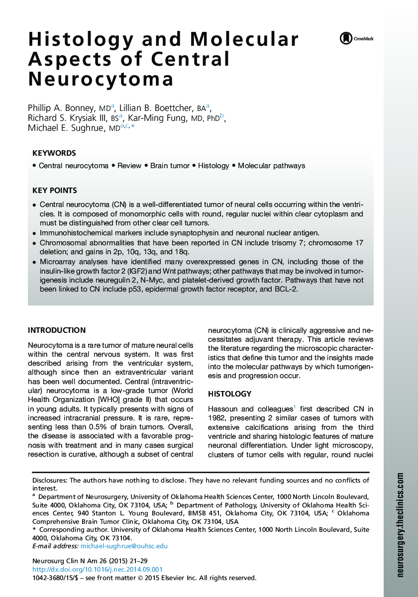 Histology and Molecular Aspects of Central Neurocytoma