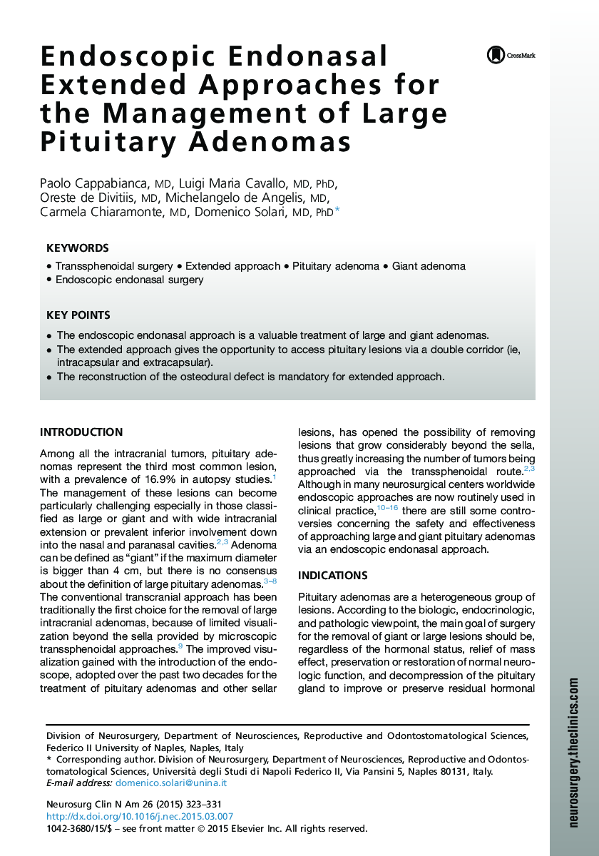 Endoscopic Endonasal Extended Approaches for the Management of Large Pituitary Adenomas