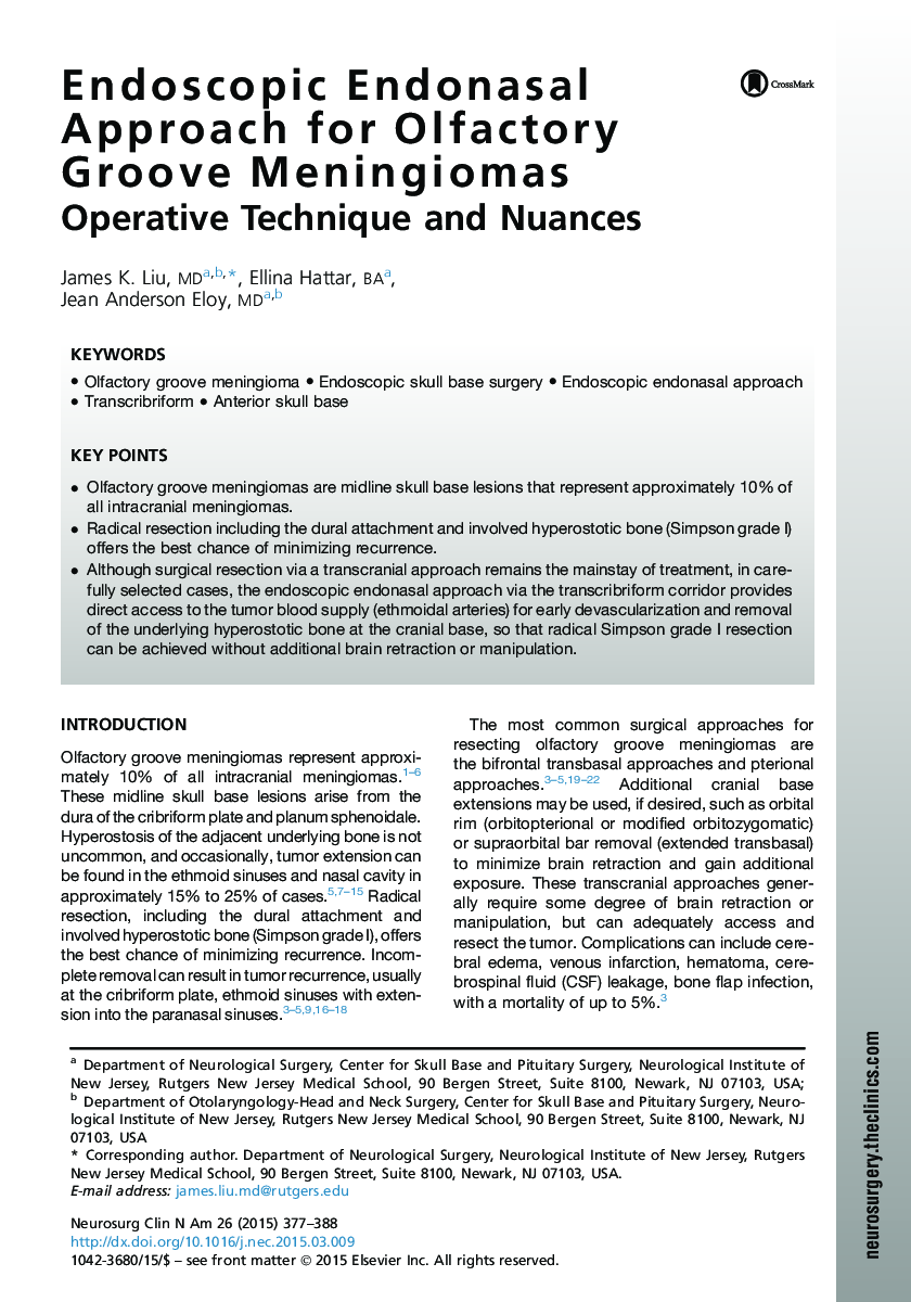 Endoscopic Endonasal Approach for Olfactory Groove Meningiomas