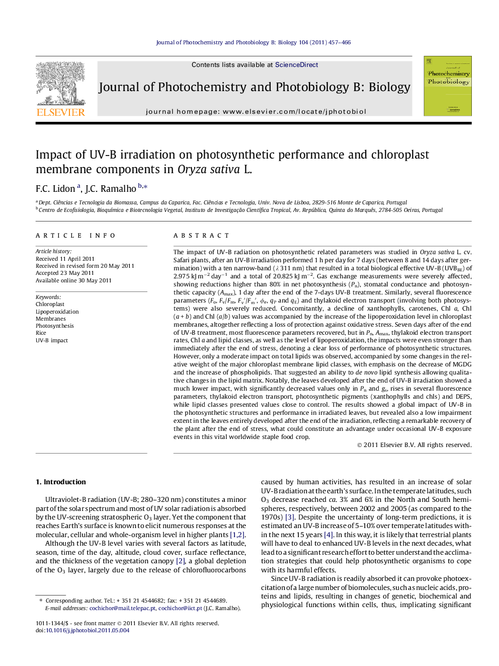 Impact of UV-B irradiation on photosynthetic performance and chloroplast membrane components in Oryza sativa L.