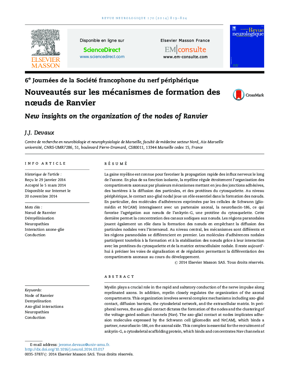 Nouveautés sur les mécanismes de formation des nÅuds de Ranvier