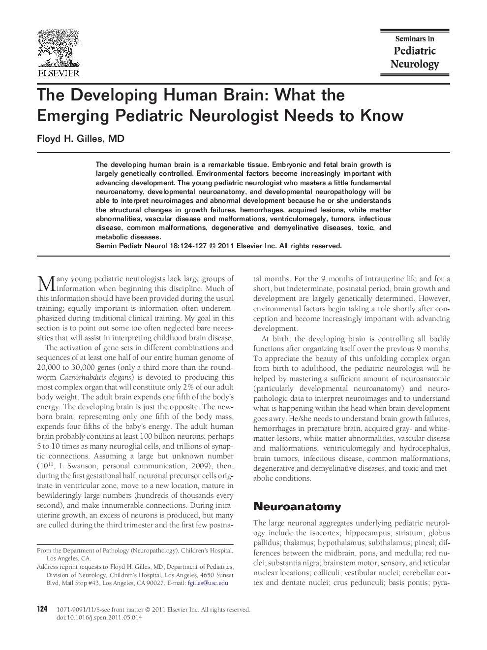 The Developing Human Brain: What the Emerging Pediatric Neurologist Needs to Know