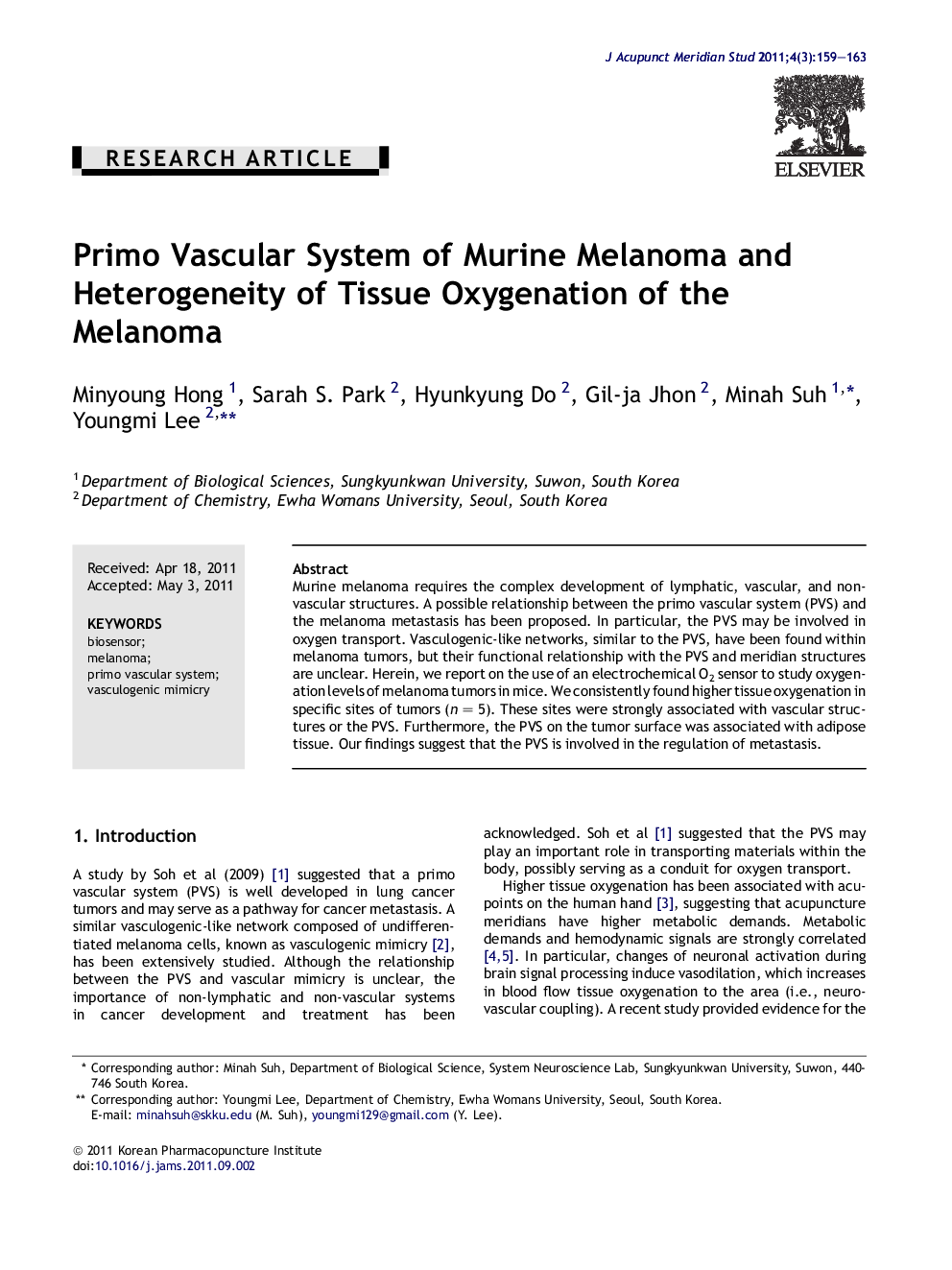 Primo Vascular System of Murine Melanoma and Heterogeneity of Tissue Oxygenation of the Melanoma