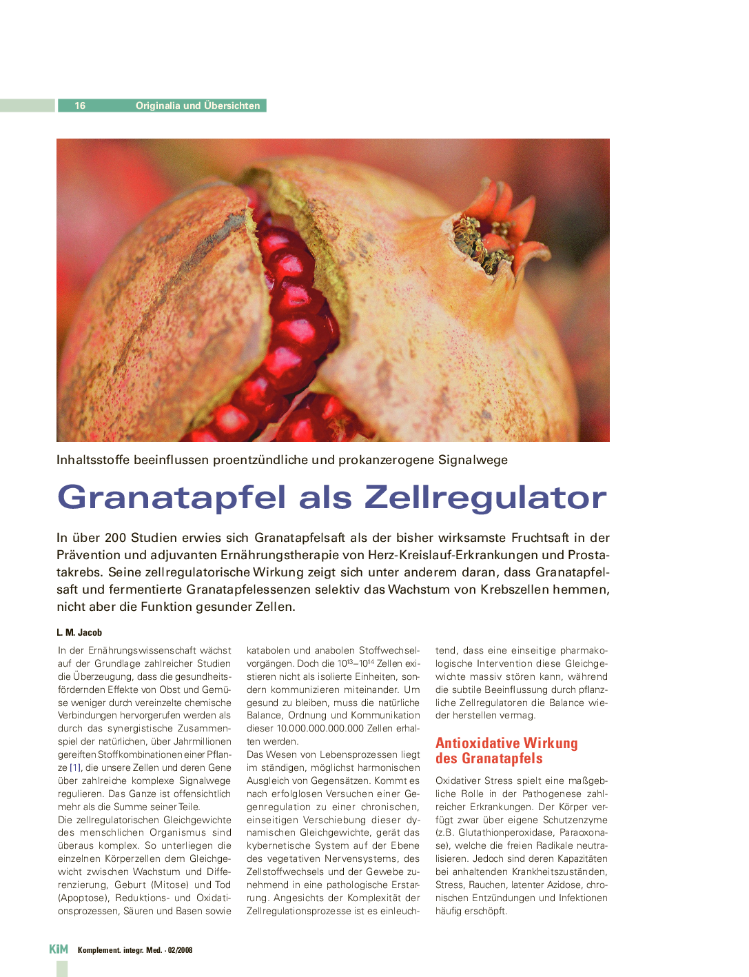 Granatapfel als Zellregulator